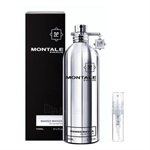 Montale Paris Mango Manga - Eau De Parfum - Perfume sample - 2 ml